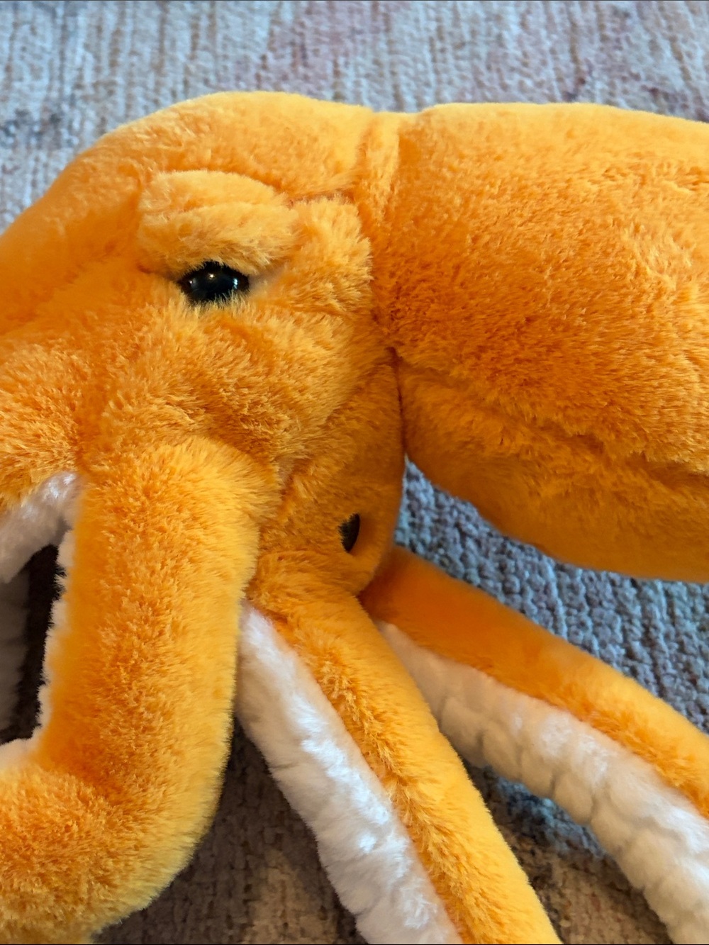 FAO Schwarz Orange & Cream Plush Octopus Adopt a Pet - Picture 9 of 9
